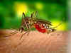 Dengue cases on rise in West Bengal, 840 new cases reported