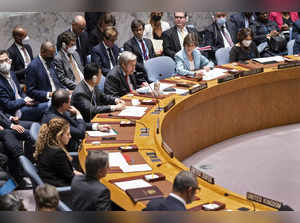 Politics impede long-advocated growth of UN Security Council