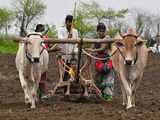 Indian fertiliser firms sign MoU with Canada's Canpotex