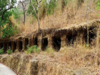 ASI discovers 20 Buddhist caves in Bandhavgarh forests