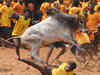 Supreme Court to hear on November 22 pleas against bull-taming sport Jallikattu
