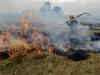 Farmers burning stubble to face punitive action: UP officials