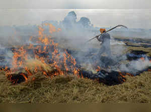 Amritsar: Farmer burns paddy stubble at a farm on the outskirts of Amritsar. The...
