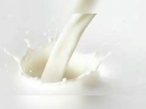​Amrit Corp