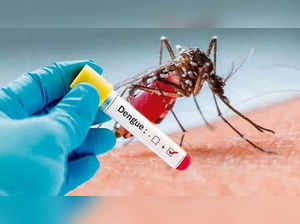 Delhi records 101 new cases of dengue, tally rises to 396