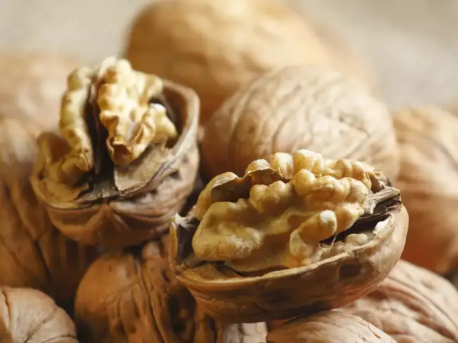 walnut benefits: Secret to a healthy life! A handful of walnuts can