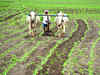 Agri startup Arya.ag expects fourfold jump in revenue at $175 m this fiscal