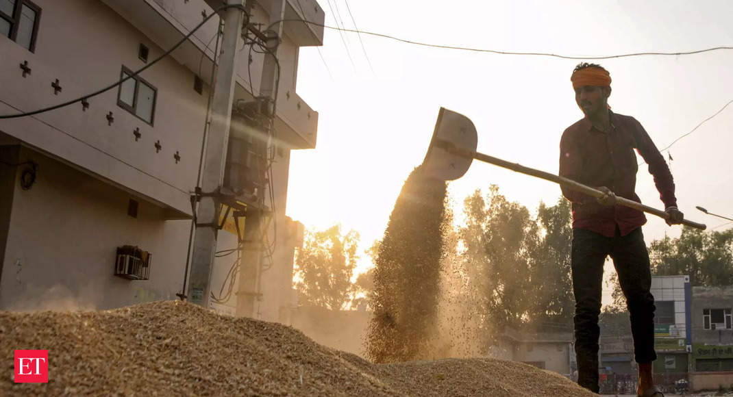 Rice, wheat prices show diverging trend amid steady festive demand