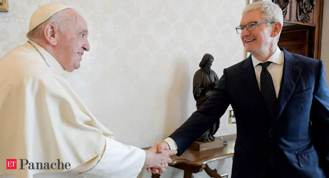 What was Tim Cook's meeting with Pope Francis about?