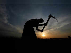 FILE PHOTO: A farmer working in a paddy field is silhouetted against the setting sun on the outskirts of Agartala