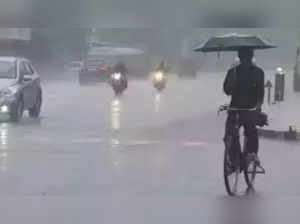 No rain in national capital, surrounding areas from tomorrow onwards: IMD senior scientist