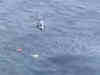 Goa: Dornier aircrafts diverted to locate Indian Navy's crashed MiG-29K fighter jet