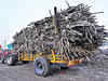 Extended monsoon may delay Maharashtra's 2022-23 sugarcane crushing season