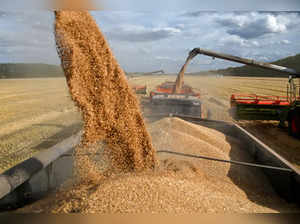 FILE PHOTO: Wheat harvest in Russia's Omsk region