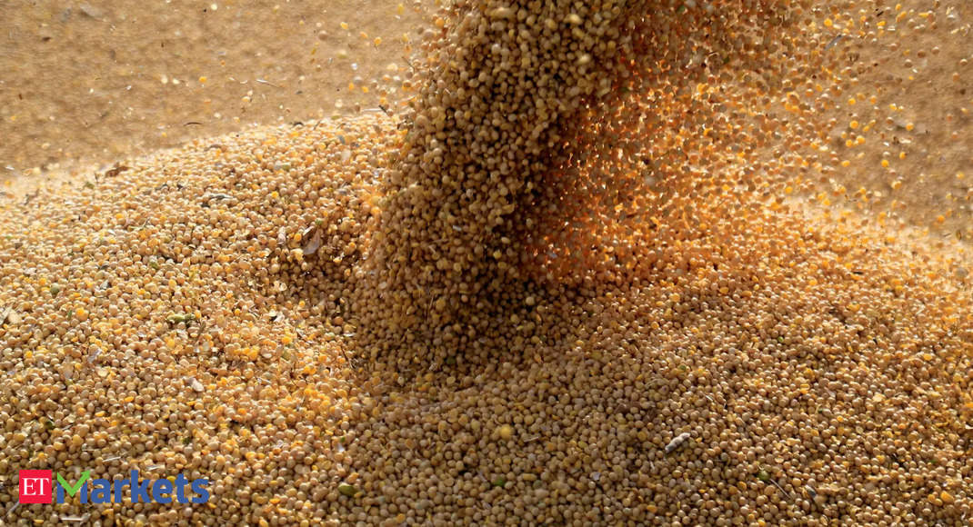 Soybean prices to remain sluggish despite crop loss due to unseasonal rainfall