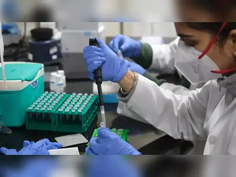 Divi's Laboratories | 1-Year Performance: -34%