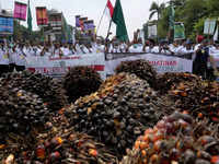 Palm oil prices set for new record highs in coming months -analyst