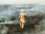 Punjab in Centre’s firing line over failure to stop stubble burning