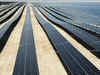 Solar imports excluded from duty scheme