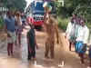 Karnataka: Locals in Tumkur protest over bad roads, take bath in slush