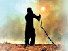 Tarn Taran, Amritsar, Gurdaspur account for 60 per cent of stubble burning cases in Punjab