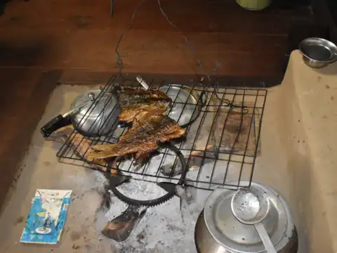 The meals