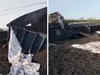 Bihar: 53 wagons of coal-laden goods train derail in Gurpa; no casualties reported