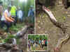 'Woman found in python's stomach', shocker from Indonesia's Jambi province