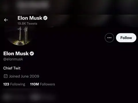 Bio updated to &ldquo;Chief Twit&rdquo;​