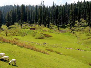 kashmir--bccl