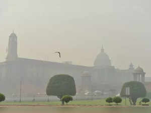 New Delhi: Tourists wear masks to protect themselves from air pollution as toxic haze continues to engulf the national capital, on Nov 13, 2019. The Delhi air quality index (AQI) is at emergency levels again on Wednesday with an overall count of 476 and not much relief is expected for the next two days till Friday. While overall AQI is in the severe category, PM10 count is at 489 and PM2.5 at 326 is also in the severe category. (Photo: IANS)