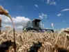 Ukraine grain exports halted after Russia suspends deal participation