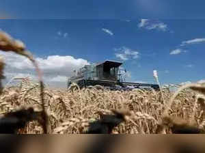 Ukraine grain exports halted after Russia suspends deal participation