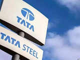 Tata Steel to await British government's response before taking a call on UK business, says CEO T V Narendran