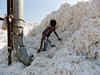 Lower capex to have slight impact on credit profiles of cotton yarn spinners: Crisil