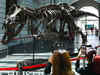 Skeleton of a Tyrannosaurus Rex draws thousands of visitors in Singapore before auction