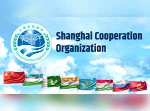 Shanghai Cooperation Organisation.(photo:@MEAIndia)
