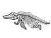 First complete skeleton of ichthyosaur aka 'fish lizard' bombed during WWII found in London
