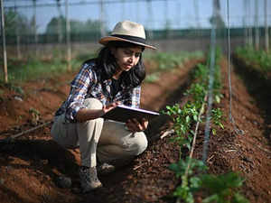 Chemical Free Natural Farming