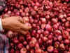Kharif onion output estimated to be 13 pc lower; ample rabi onions to contain prices: Report