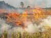 Punjab sees season's hike in farm fires at 3,634