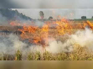 Just ahead of Delhi's smog season, farmers of Punjab & Haryana start setting fields on fire
