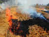 Farm fires' share in Delhi's pollution 38%, highest this season