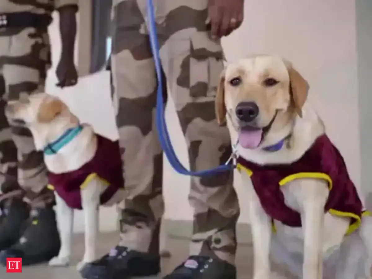 canine heroes: Kerala: CISF bids farewell to canine heroes at CIAL in ...