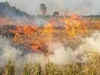 Punjab sees 2,666 farm fires on Thursday, Haryana's Charkhi Dadri AQI at 458