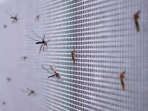 ​Use mosquito deterrents