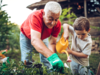 How to invest in mutual funds for grandchildren