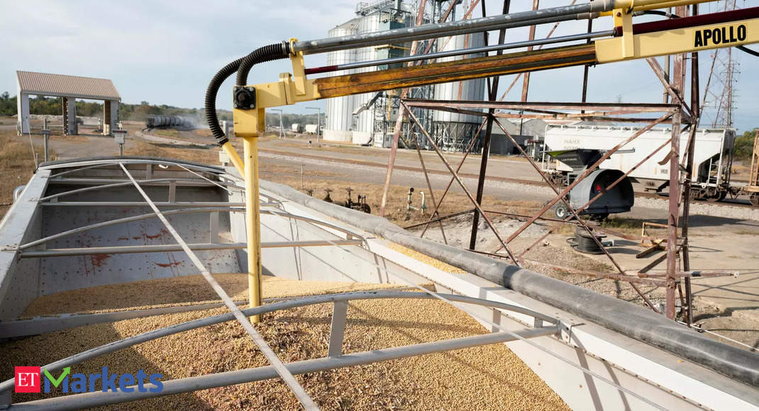 Soybean prices on the rise after stock limit removal