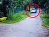 Karnataka: Retired IB officer mowed down by a moving car in Mysuru; investigation underway