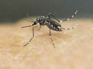 Dengue infection tally crosses 2000-mark in Delhi, over 1200 cases in October